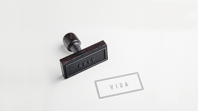 visa, paper, passport visa